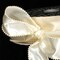 The Ribbon People Ivory Solid Edge Wired Craft Ribbon 2" x 20 Yards